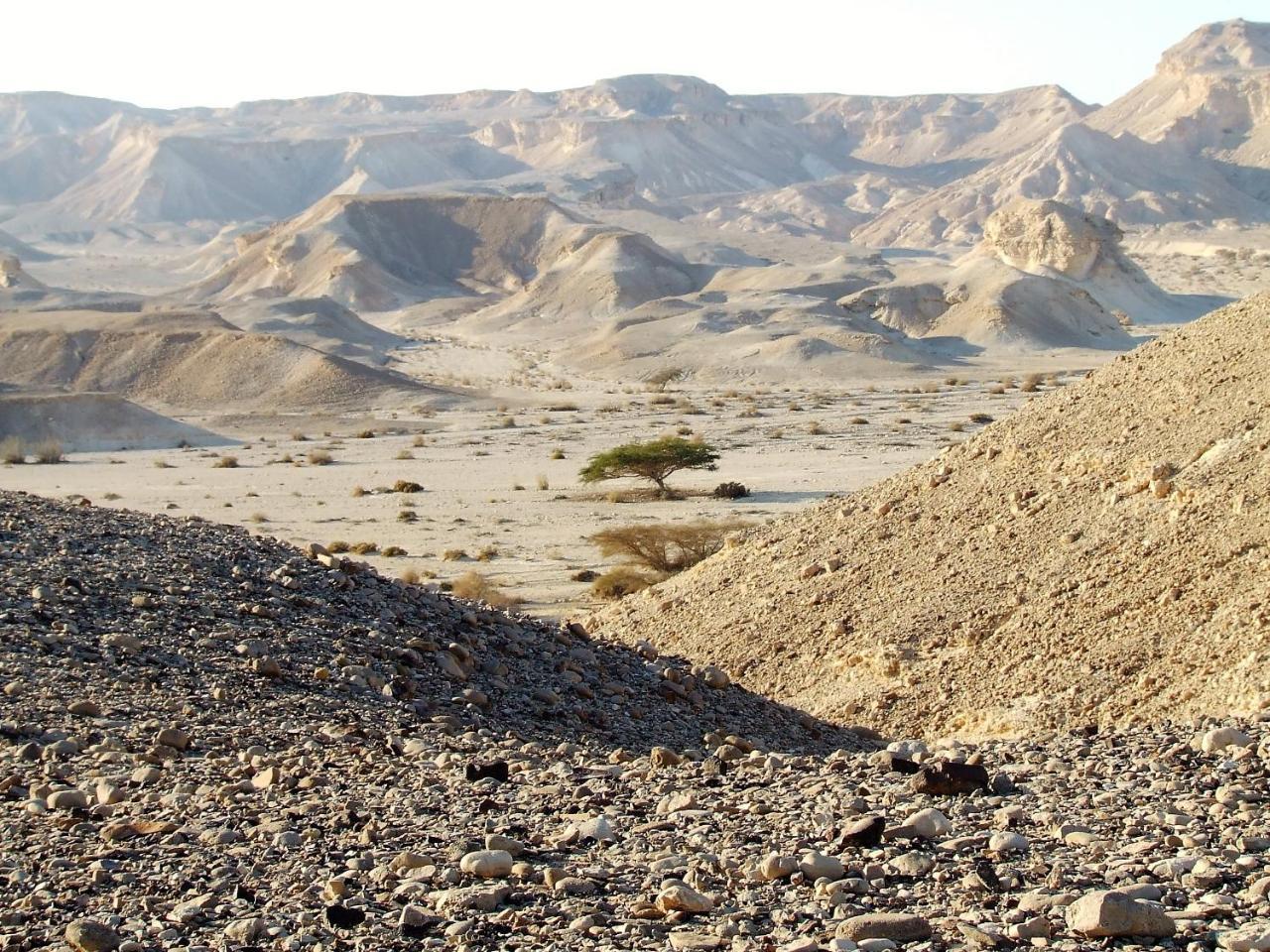 Villa Zman Arava Tzukim Esterno foto